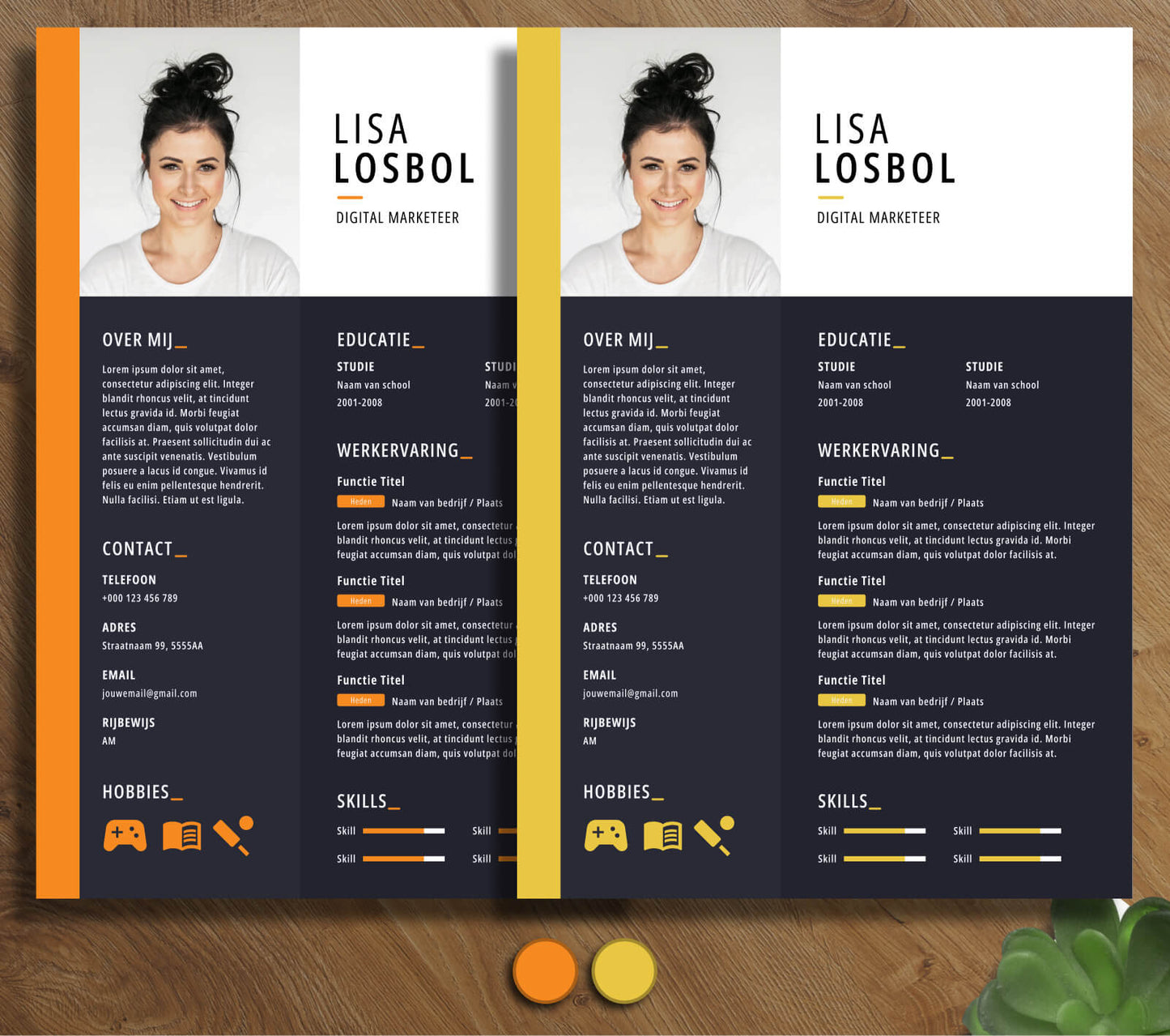 Modern CV Template - Lisa Losbol