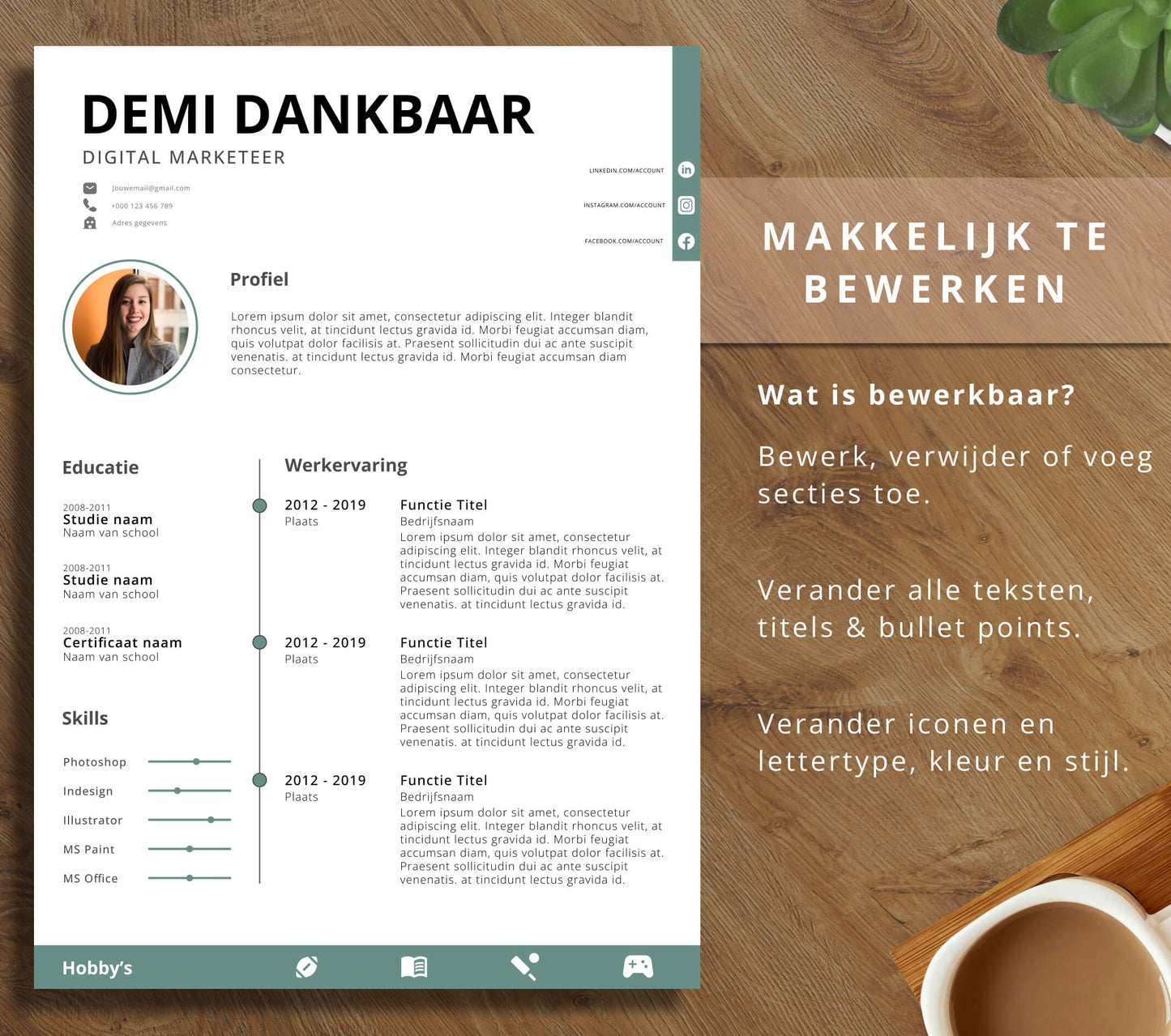 CV Template Pakket - Demi Dankbaar