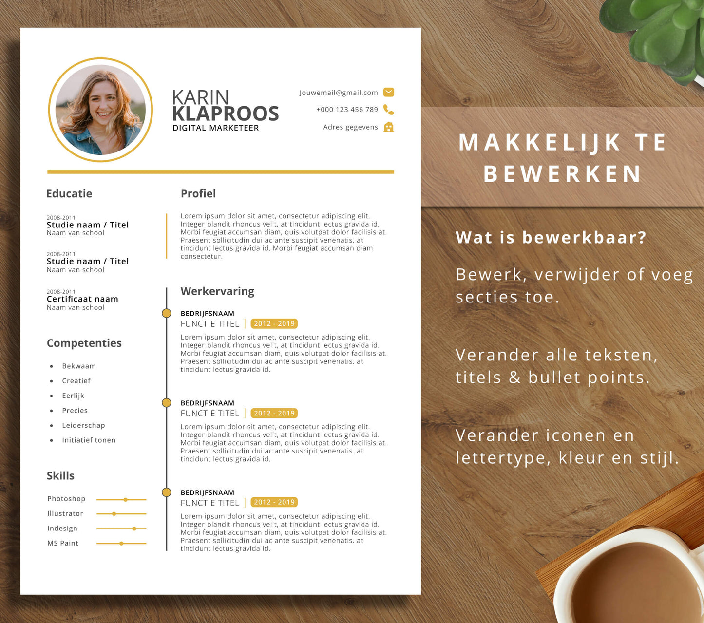 CV Template Pakket - Karin Klaproos