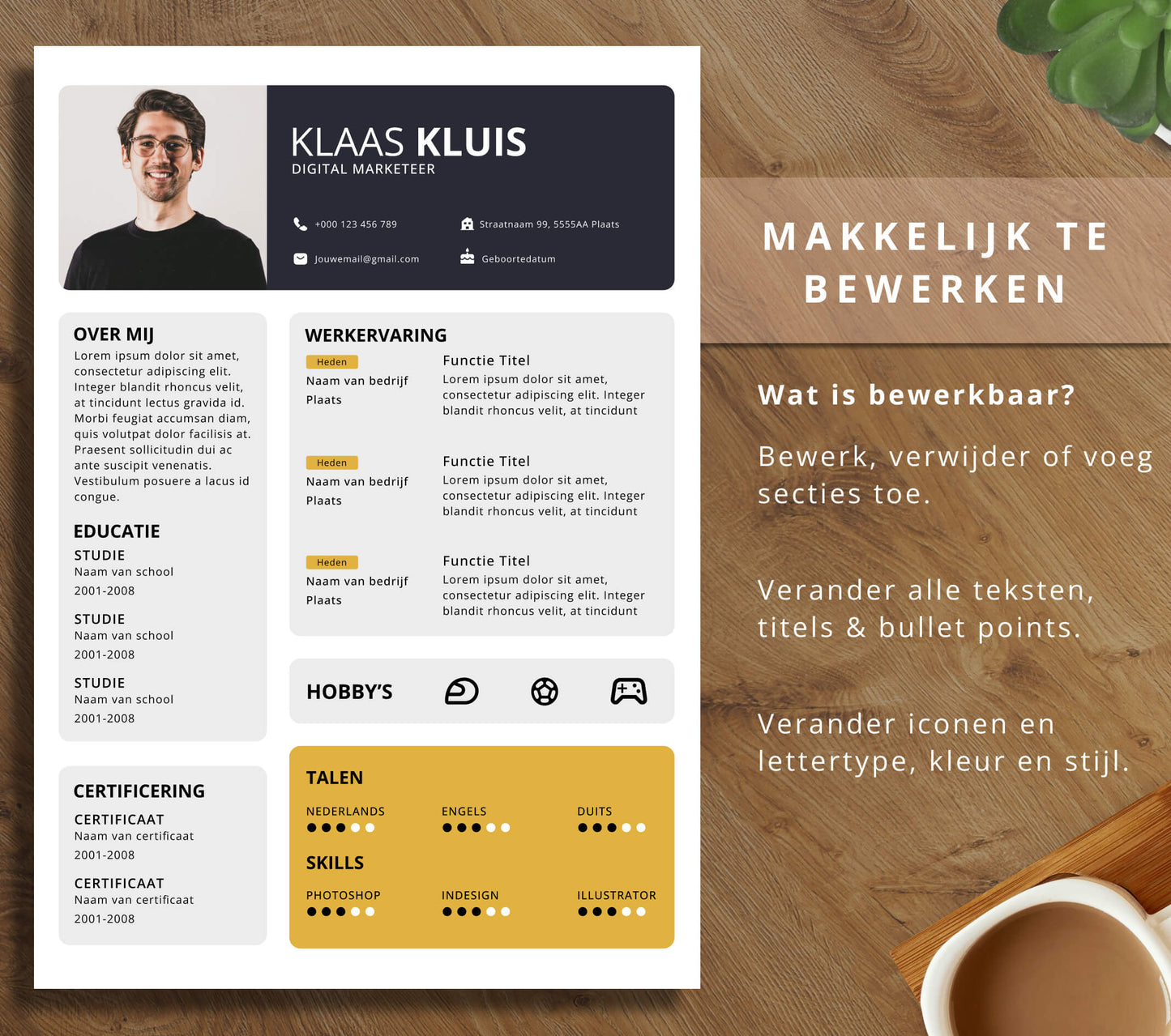 CV Template Pakket - Klaas Kluis