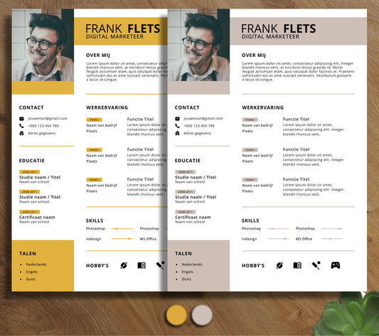 Modern CV Template - Frank Flets
