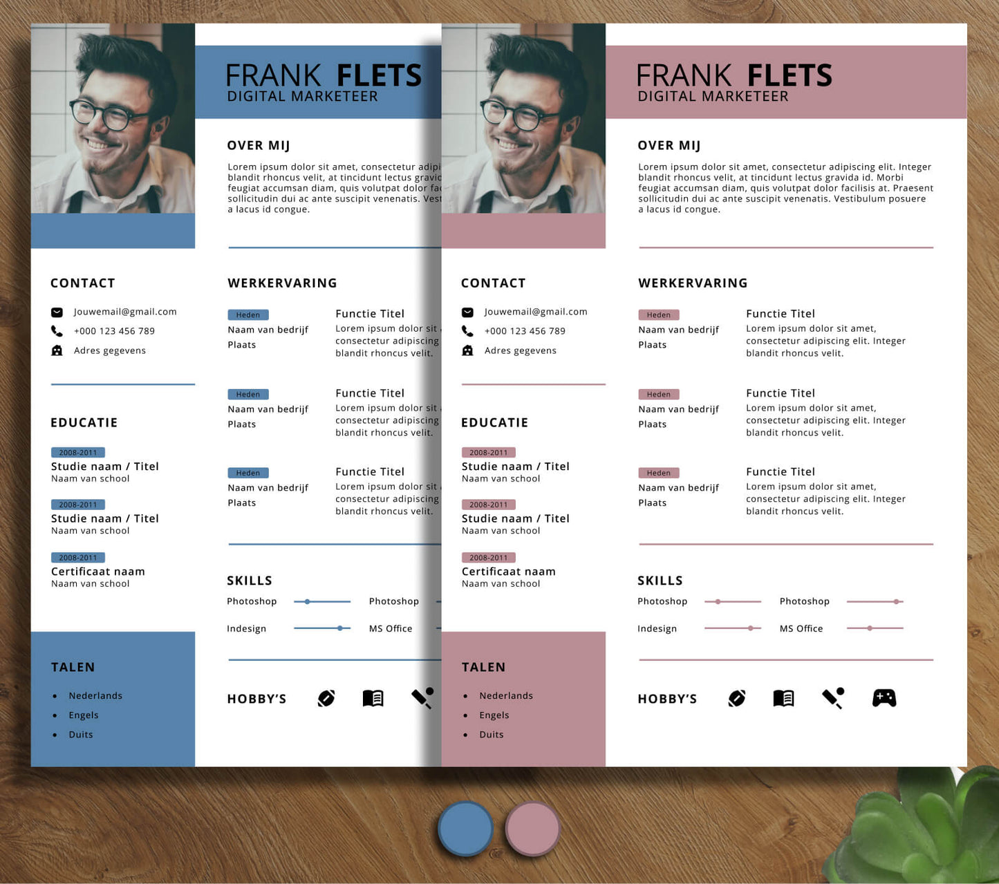 Modern CV Template - Frank Flets