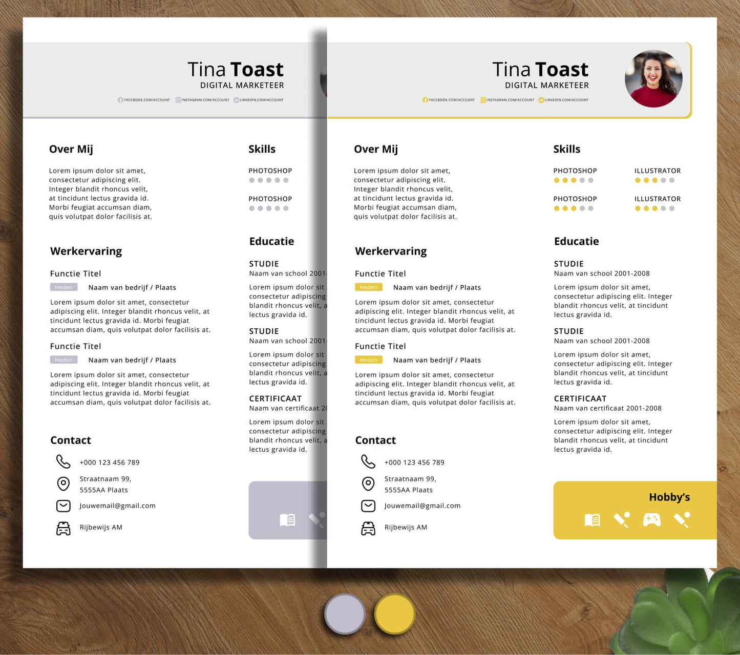 Modern CV Template - Tina Toast