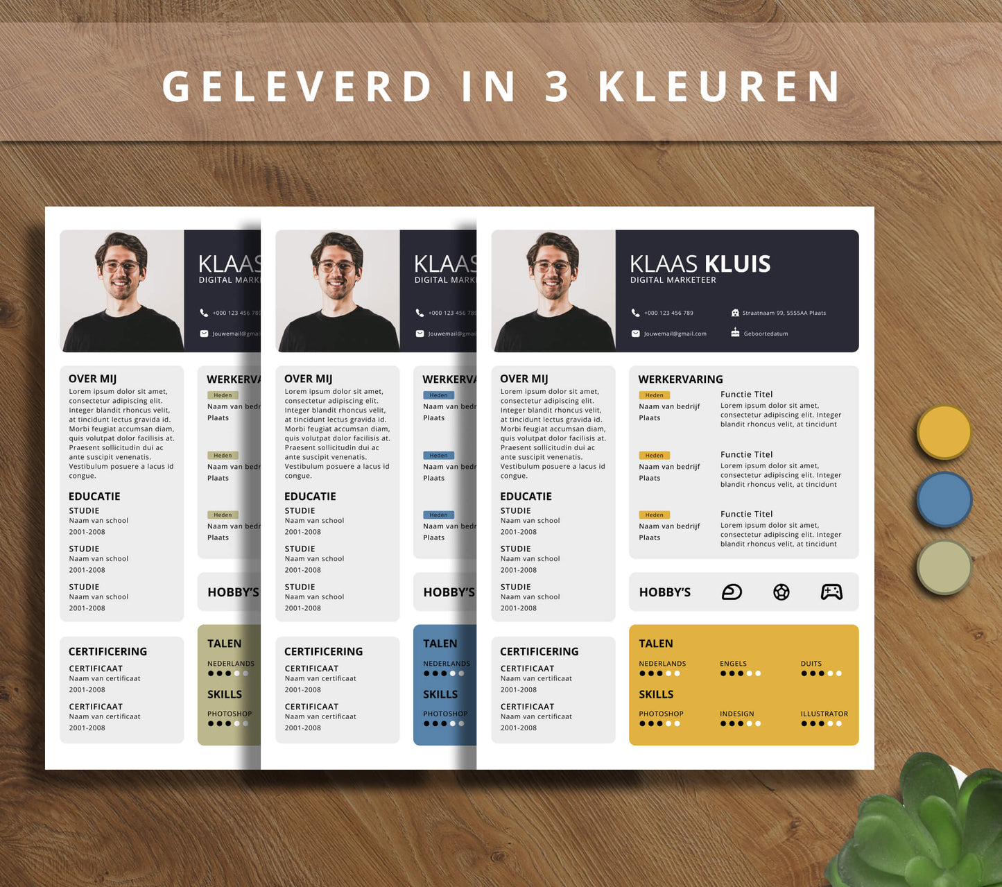 CV Template Pakket - Klaas Kluis